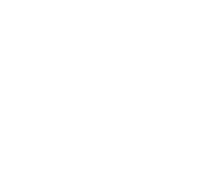Website designed and constructed by Cosmic