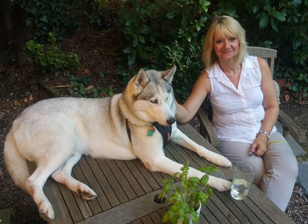 Jane Carey – Dorset Mental Health Forum Jane Carey - Dorset Mental Health Forum